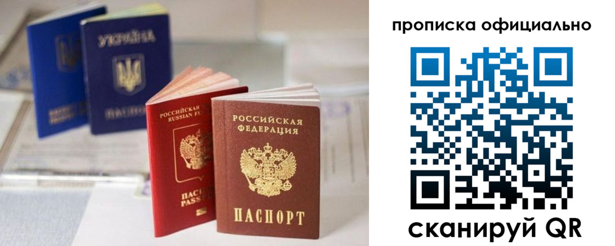 прописка поиск в Коле